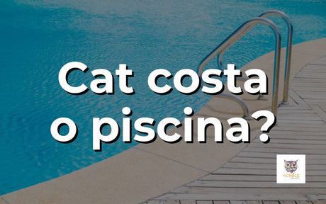 Cat costa o piscina?