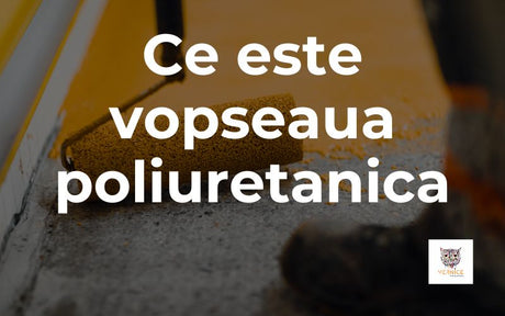 Ce este vopseaua poliuretanica