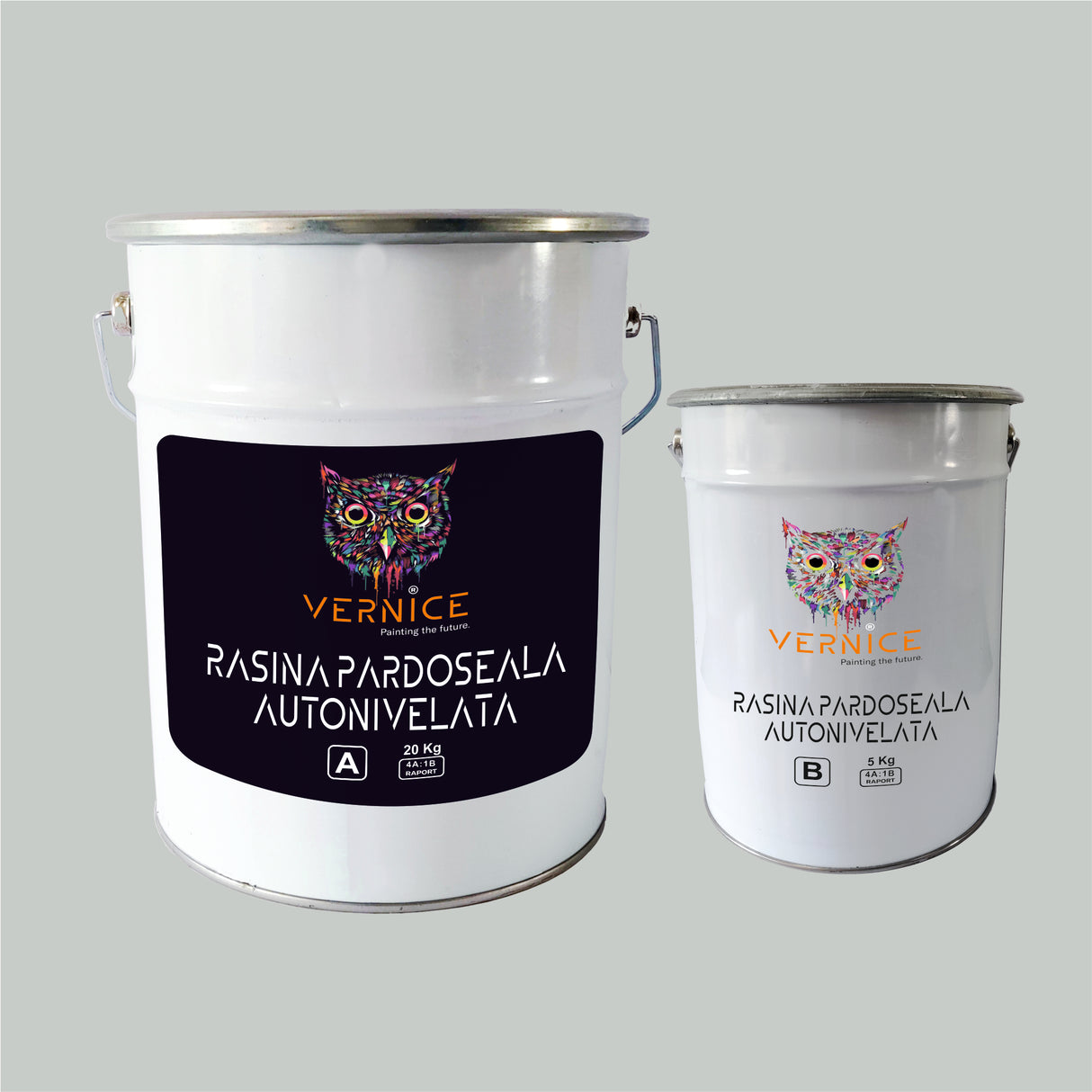 RASINA COLORATA AUTONIVELANTA RT optim 25kg