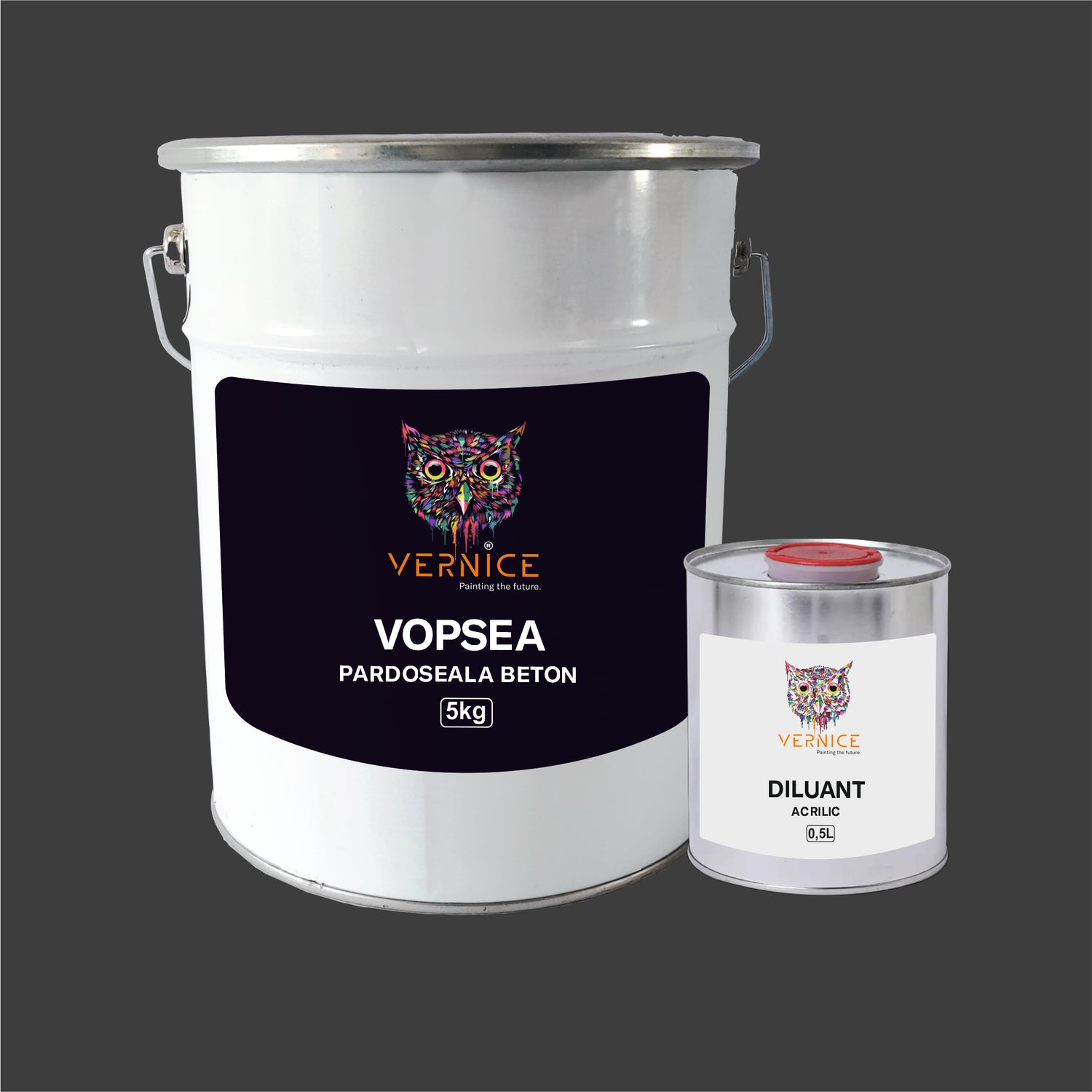 VOPSEA MONOCOMPONENTA PARDOSEALA BETON EXTERIOR si INTERIOR 5KG