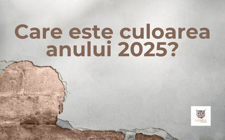 Care este culoarea anului 2025?