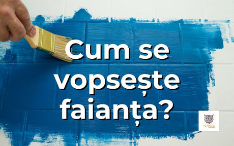 Vopsirea faiantei cu vopsea albastra