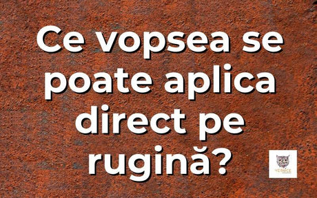 Ce vopsea se poate aplica direct pe rugina?