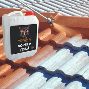 Roof paint