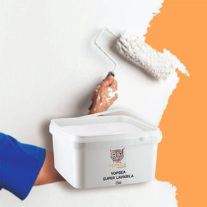 Washable paint