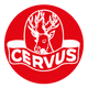 Cervus