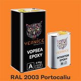 VOPSEA EPOXIDICA PARDOSEALA 5kg