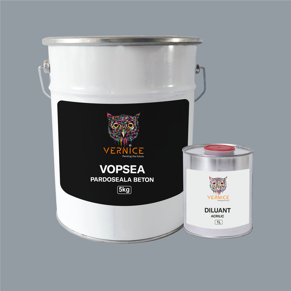 VOPSEA MONOCOMPONENTA PARDOSEALA BETON EXTERIOR si INTERIOR 5KG