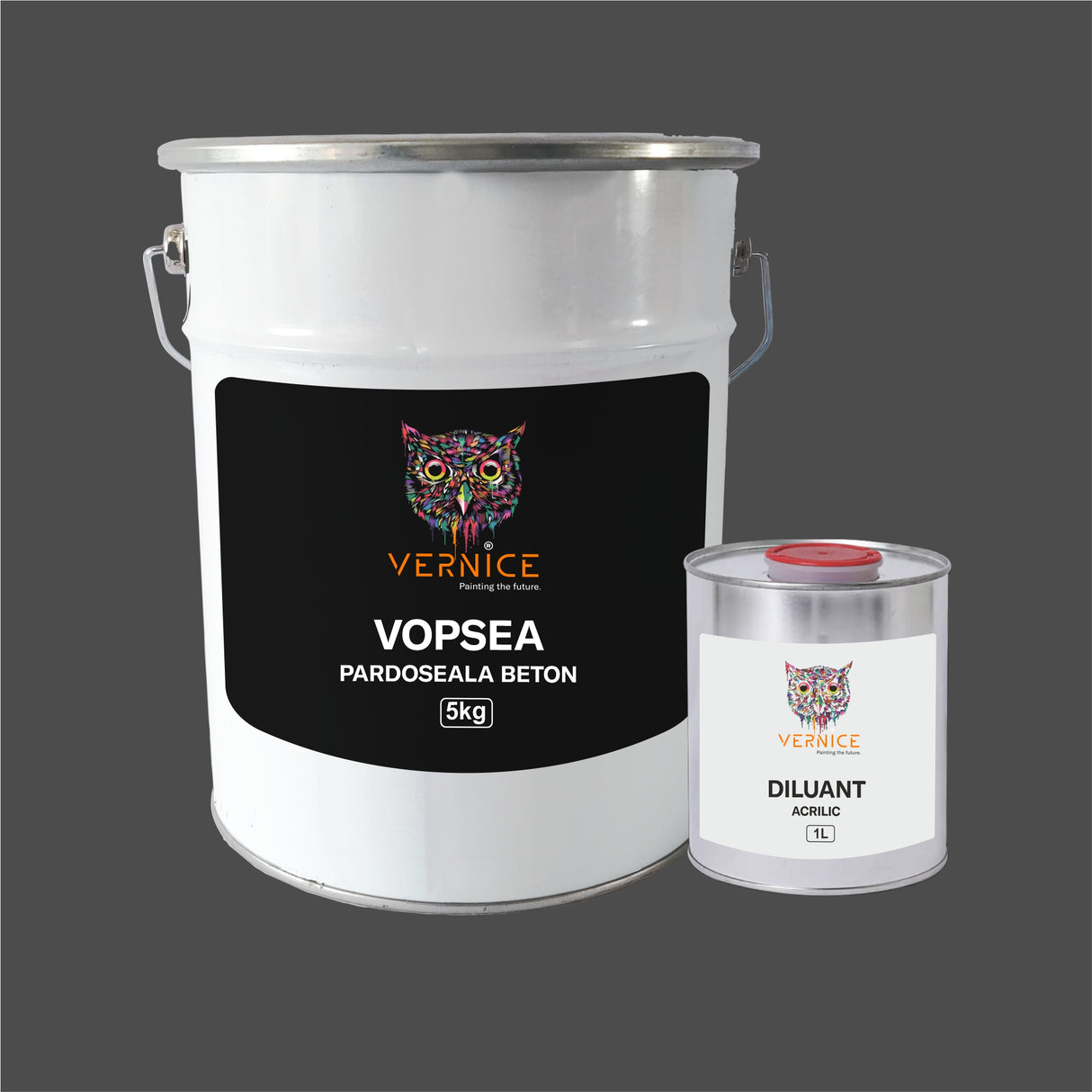 VOPSEA MONOCOMPONENTA PARDOSEALA BETON EXTERIOR si INTERIOR 5KG